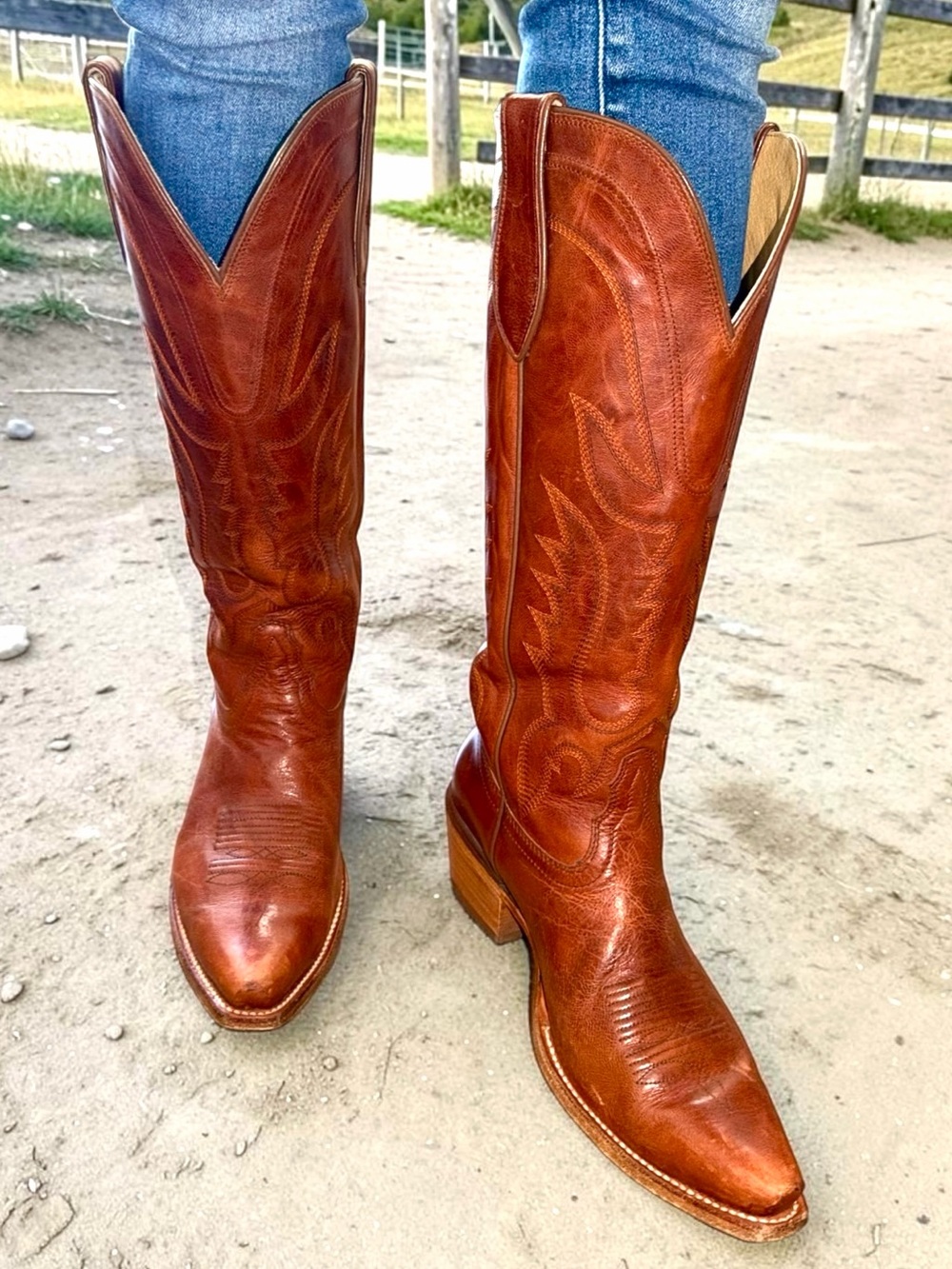 Tony Lama Derby Liz Tall Leather Cognac Western Snip Toe Cowboy Boots 8.5 - Picture 5 of 13